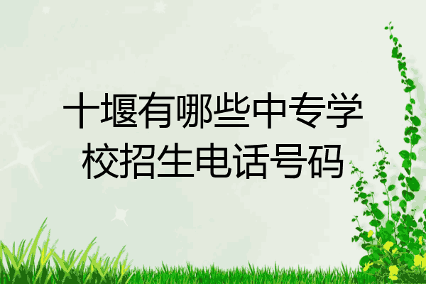 十堰有哪些中专学校招生电话号码