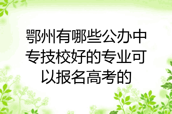 鄂州有哪些公办中专技校好的专业可以报名高考的
