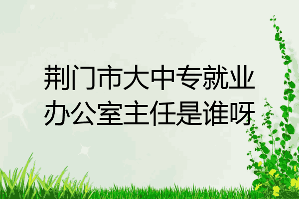 荆门市大中专就业办公室主任是谁呀