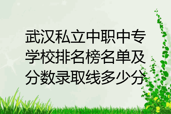武汉私立中职中专学校排名榜名单及分数录取线多少分