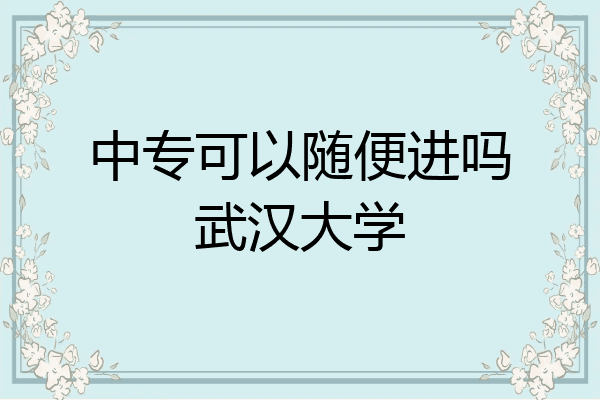 中专可以随便进吗武汉大学
