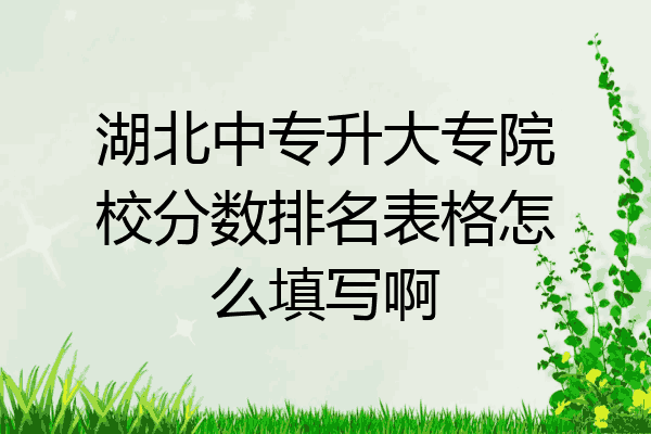 湖北中专升大专院校分数排名表格怎么填写啊