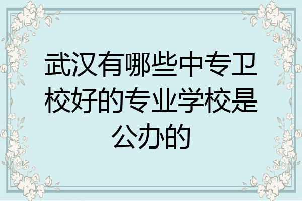 武汉有哪些中专卫校好的专业学校是公办的