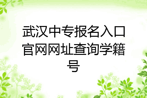 武汉中专报名入口官网网址查询学籍号