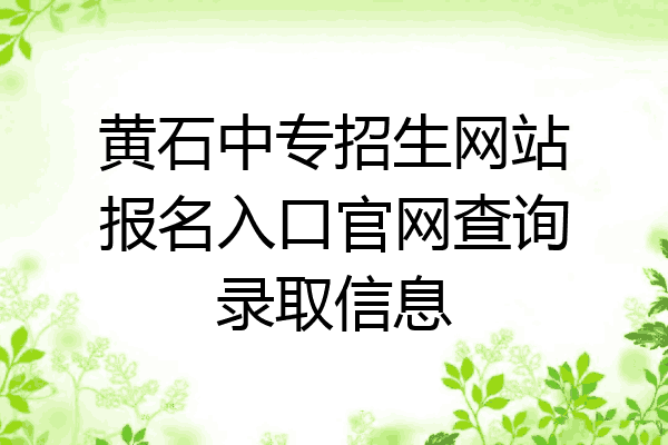 黄石中专招生网站报名入口官网查询录取信息