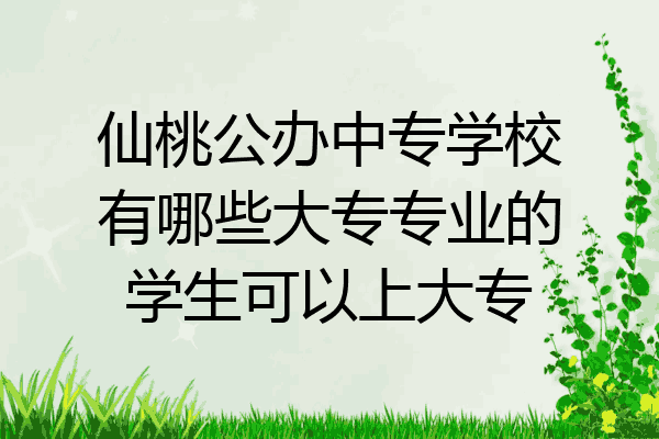 仙桃公办中专学校有哪些大专专业的学生可以上大专