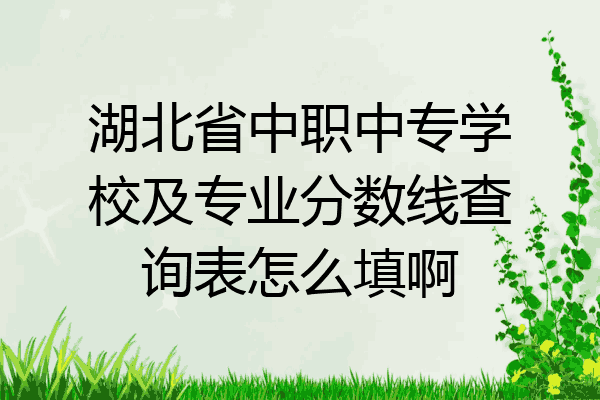 湖北省中职中专学校及专业分数线查询表怎么填啊