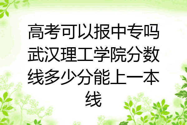 高考可以报中专吗武汉理工学院分数线多少分能上一本线