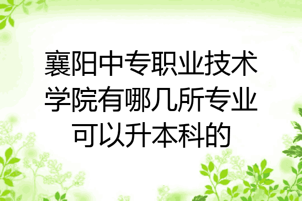 襄阳中专职业技术学院有哪几所专业可以升本科的
