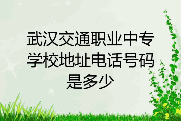 武汉交通职业中专学校地址电话号码是多少