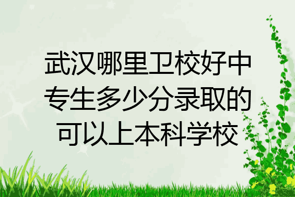 武汉哪里卫校好中专生多少分录取的可以上本科学校