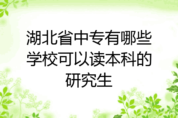 湖北省中专有哪些学校可以读本科的研究生