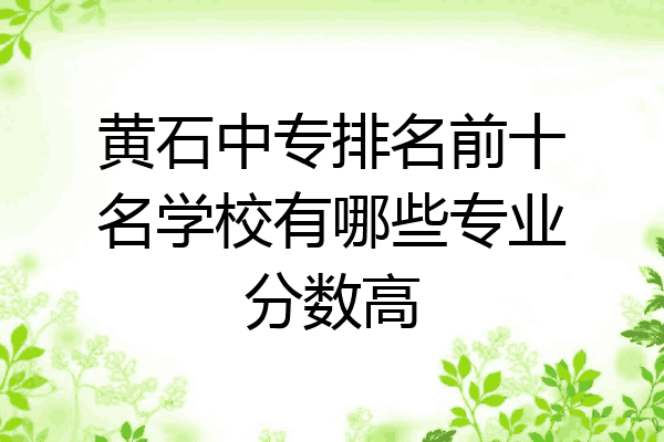 黄石中专排名前十名学校有哪些专业分数高