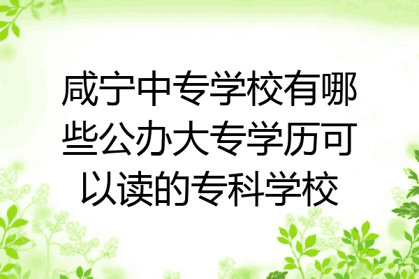 咸宁中专学校有哪些公办大专学历可以读的专科学校
