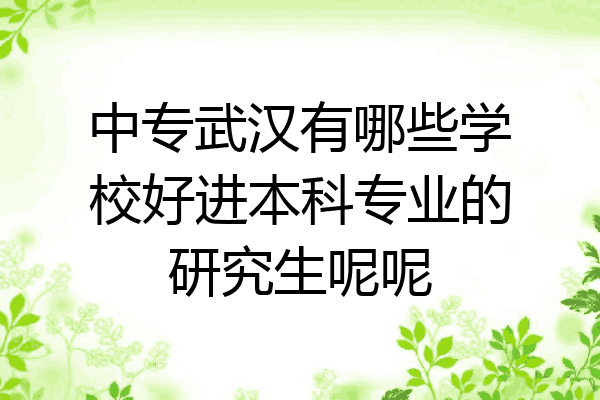 中专武汉有哪些学校好进本科专业的研究生呢呢