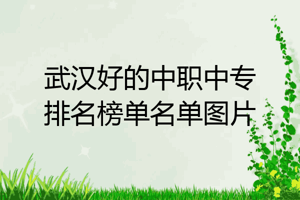 武汉好的中职中专排名榜单名单图片