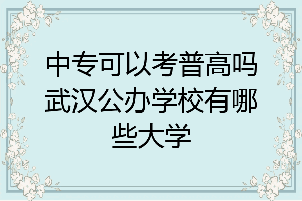 中专可以考普高吗武汉公办学校有哪些大学