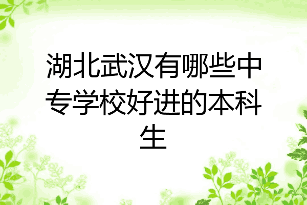 湖北武汉有哪些中专学校好进的本科生