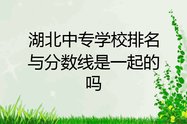 湖北中专学校排名与分数线是一起的吗