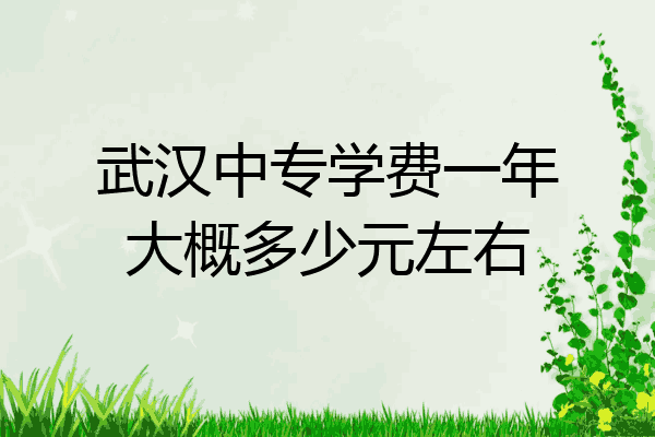武汉中专学费一年大概多少元左右