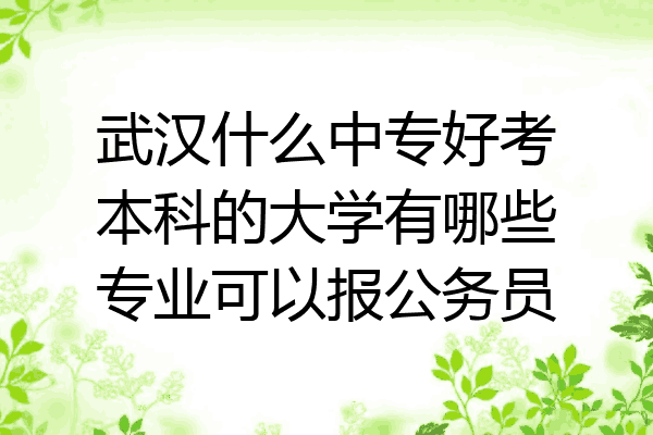 武汉什么中专好考本科的大学有哪些专业可以报公务员