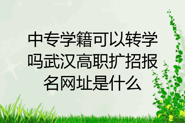 中专学籍可以转学吗武汉高职扩招报名网址是什么