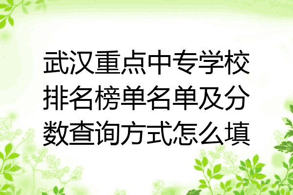 武汉重点中专学校排名榜单名单及分数查询方式怎么填