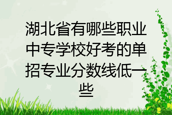 湖北省有哪些职业中专学校好考的单招专业分数线低一些