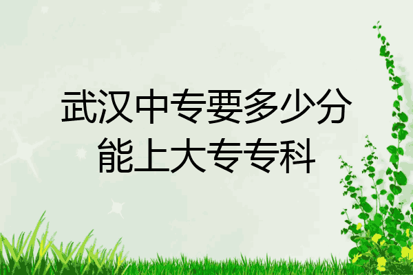 武汉中专要多少分能上大专专科