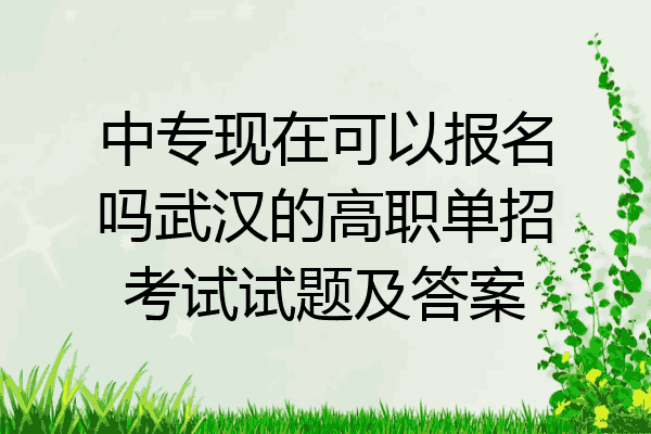 中专现在可以报名吗武汉的高职单招考试试题及答案