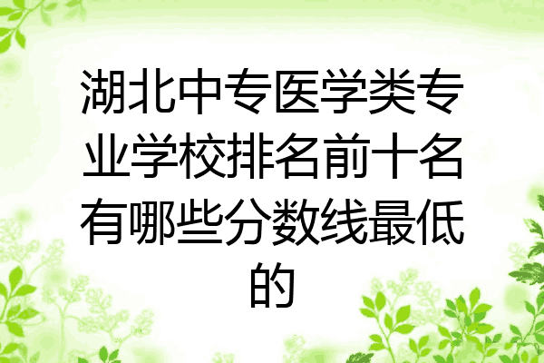 湖北中专医学类专业学校排名前十名有哪些分数线最低的