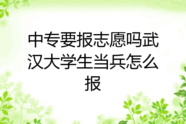 中专要报志愿吗武汉大学生当兵怎么报