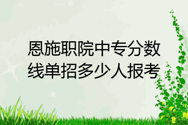恩施职院中专分数线单招多少人报考