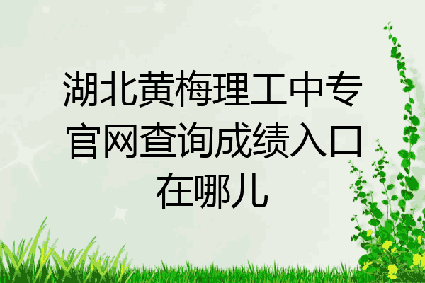 湖北黄梅理工中专官网查询成绩入口在哪儿