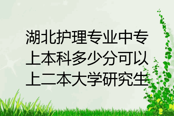 湖北护理专业中专上本科多少分可以上二本大学研究生