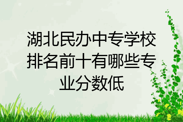 湖北民办中专学校排名前十有哪些专业分数低