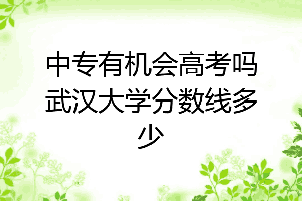 中专有机会高考吗武汉大学分数线多少