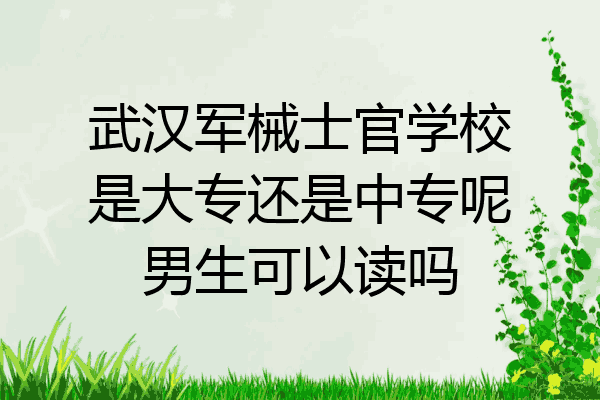 武汉军械士官学校是大专还是中专呢男生可以读吗