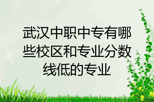 武汉中职中专有哪些校区和专业分数线低的专业