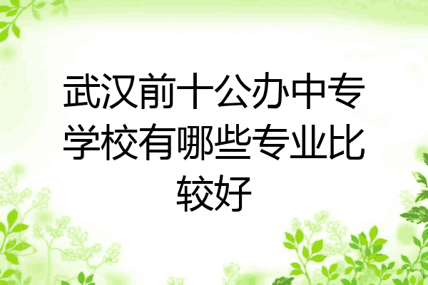 武汉前十公办中专学校有哪些专业比较好