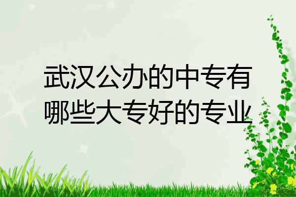 武汉公办的中专有哪些大专好的专业