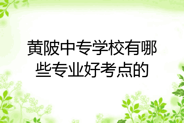 黄陂中专学校有哪些专业好考点的