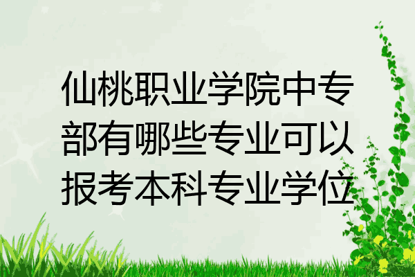 仙桃职业学院中专部有哪些专业可以报考本科专业学位