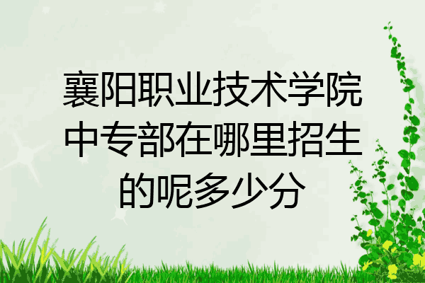 襄阳职业技术学院中专部在哪里招生的呢多少分