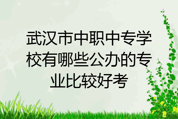 武汉市中职中专学校有哪些公办的专业比较好考