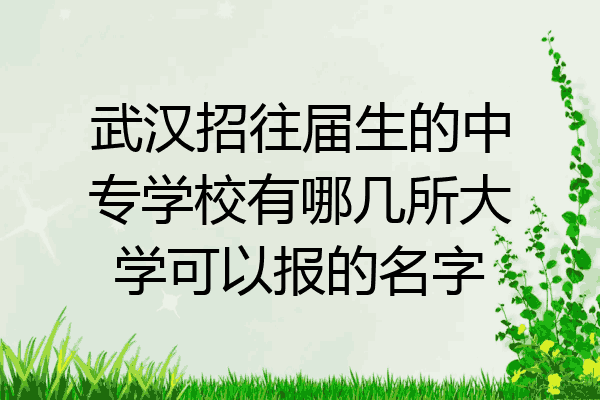 武汉招往届生的中专学校有哪几所大学可以报的名字