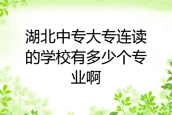湖北中专大专连读的学校有多少个专业啊
