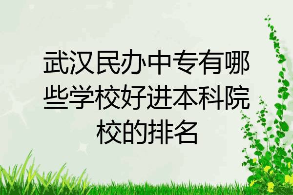 武汉民办中专有哪些学校好进本科院校的排名