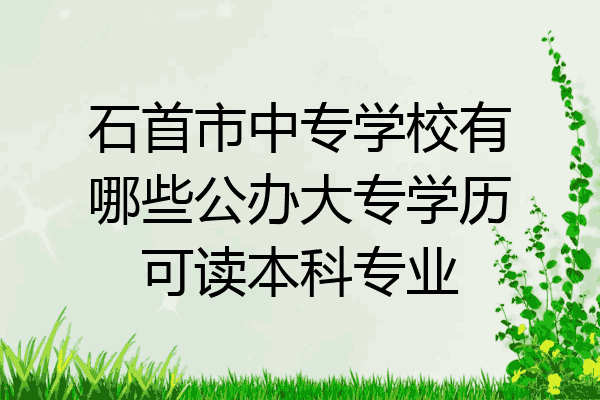 石首市中专学校有哪些公办大专学历可读本科专业