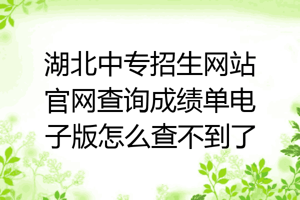 湖北中专招生网站官网查询成绩单电子版怎么查不到了